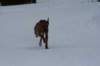 image027_small.jpg