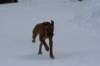 image028_small.jpg