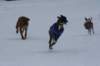 image029_small.jpg
