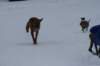 image030_small.jpg