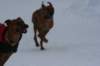 image031_small.jpg
