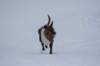 image032_small.jpg