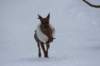 image033_small.jpg