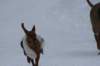 image034_small.jpg
