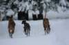 image040_small.jpg