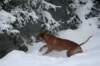 image041_small.jpg