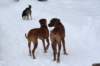image044_small.jpg