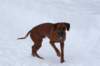 image045_small.jpg