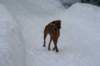 image046_small.jpg