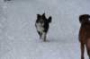 image047_small.jpg