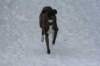 image048_small.jpg