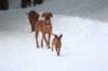 image049_small.jpg