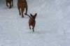 image050_small.jpg
