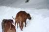 image053_small.jpg
