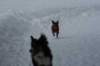 image058_small.jpg