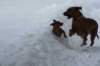 image060_small.jpg