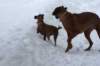 image061_small.jpg