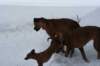 image068_small.jpg