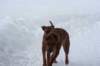 image069_small.jpg