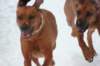 image071_small.jpg