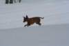 image073_small.jpg