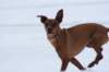 image074_small.jpg