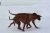 image075_small.jpg