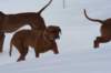 image076_small.jpg