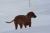 image077_small.jpg