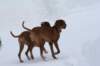 image078_small.jpg