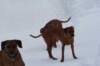 image080_small.jpg