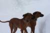 image082_small.jpg