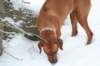 image084_small.jpg