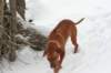 image085_small.jpg