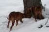 image086_small.jpg