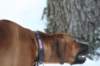 image089_small.jpg