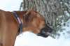 image090_small.jpg