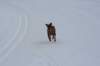 image095_small.jpg