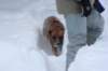 image111_small.jpg
