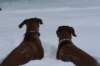 image120_small.jpg