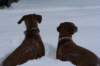 image121_small.jpg