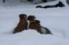 image123_small.jpg