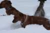image124_small.jpg