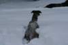 image127_small.jpg