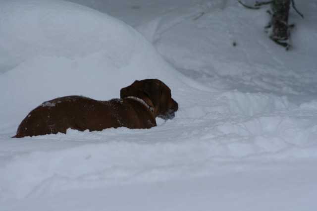image130.jpg