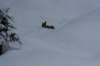 image140_small.jpg