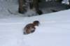 image142_small.jpg