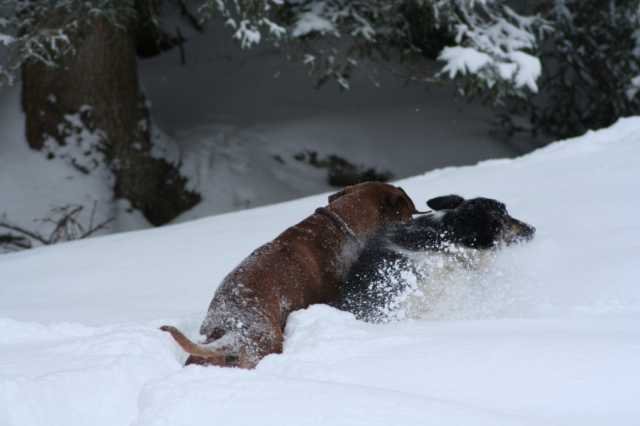 image145.jpg