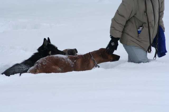 image147.jpg