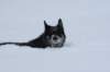 image149_small.jpg